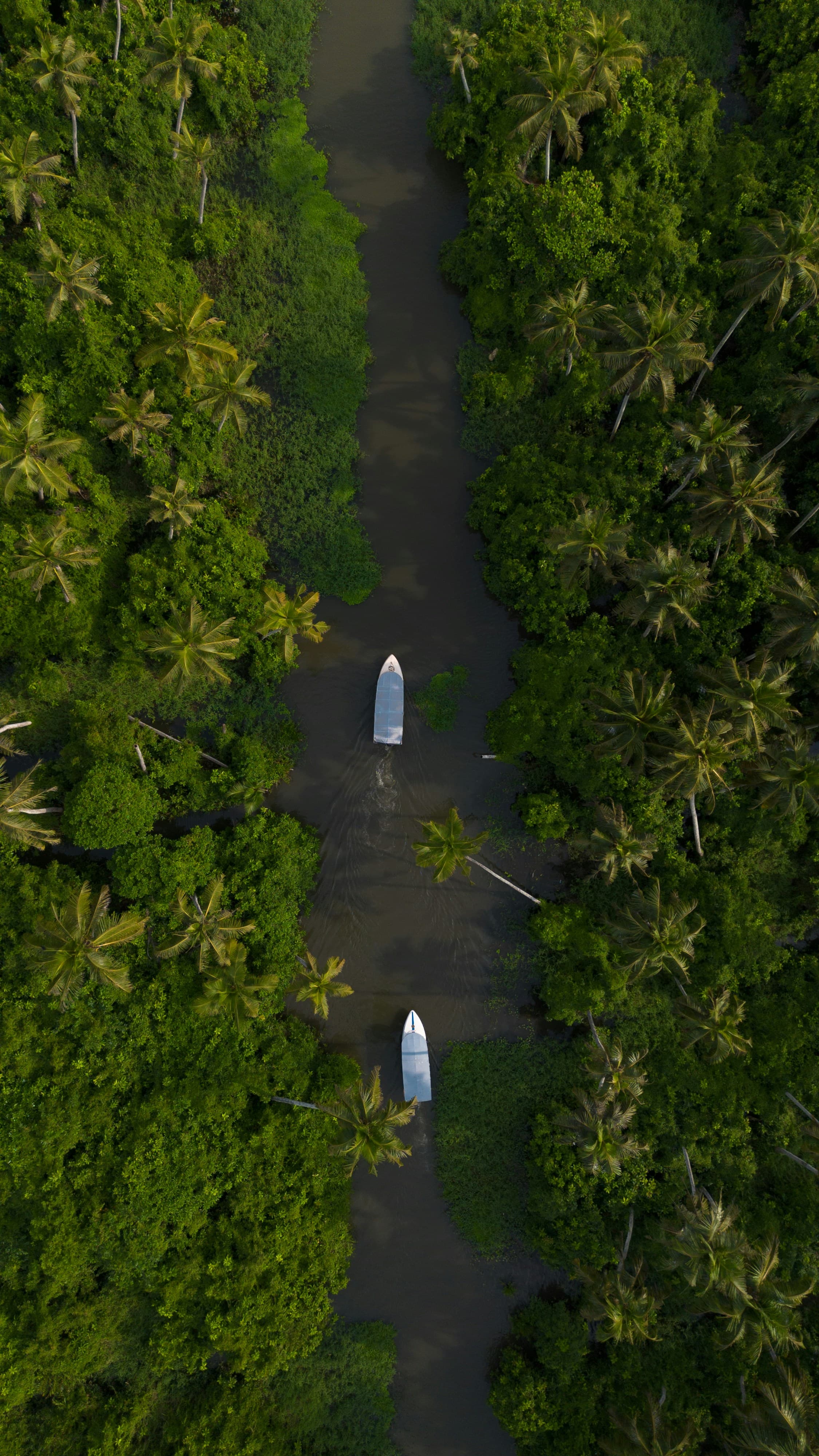 KERALA — The Art of Slow Travel