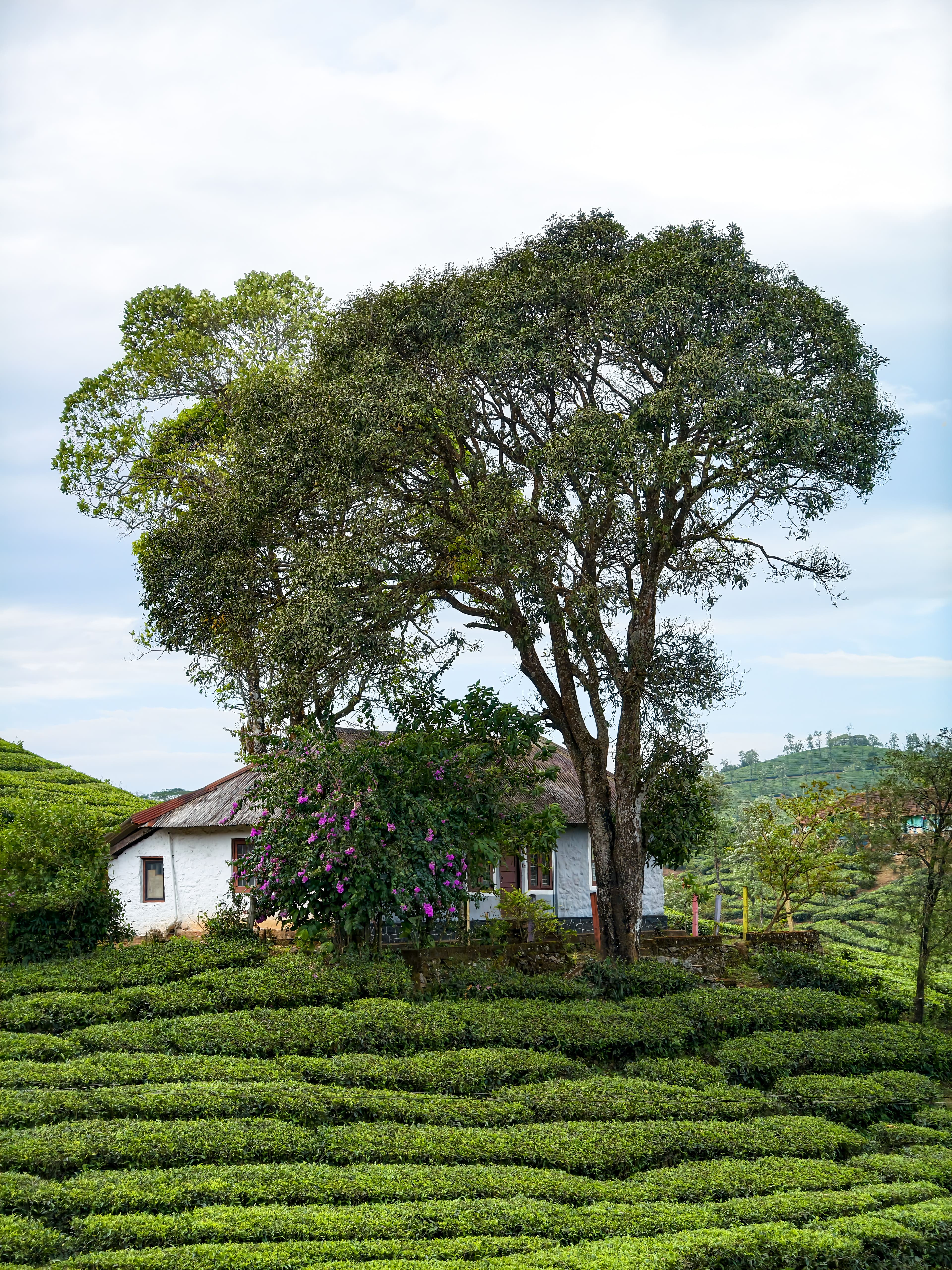 Plantation retreat in India