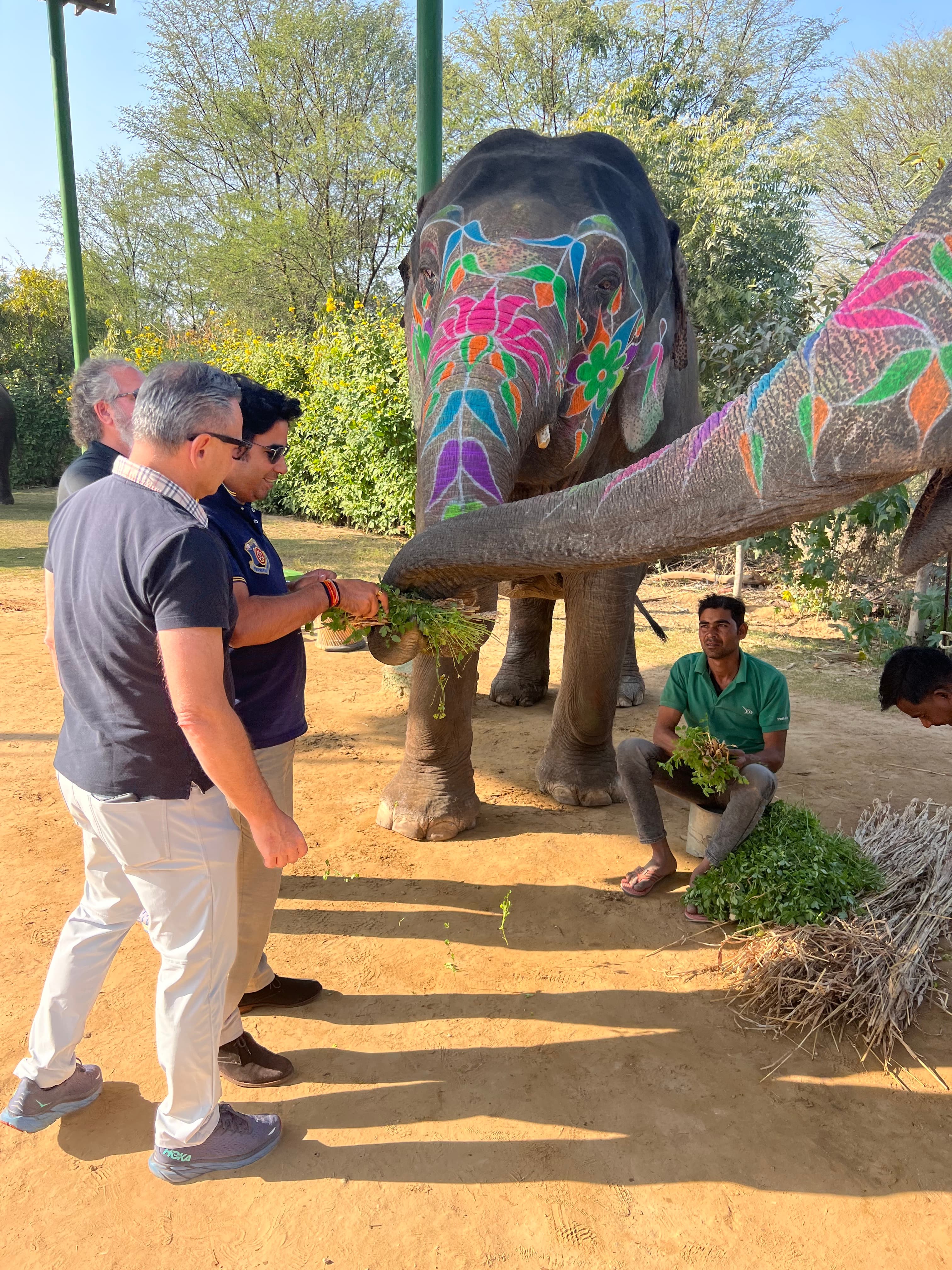 Kamlendra Singh Ranawat, Founder of Fairy Tale India