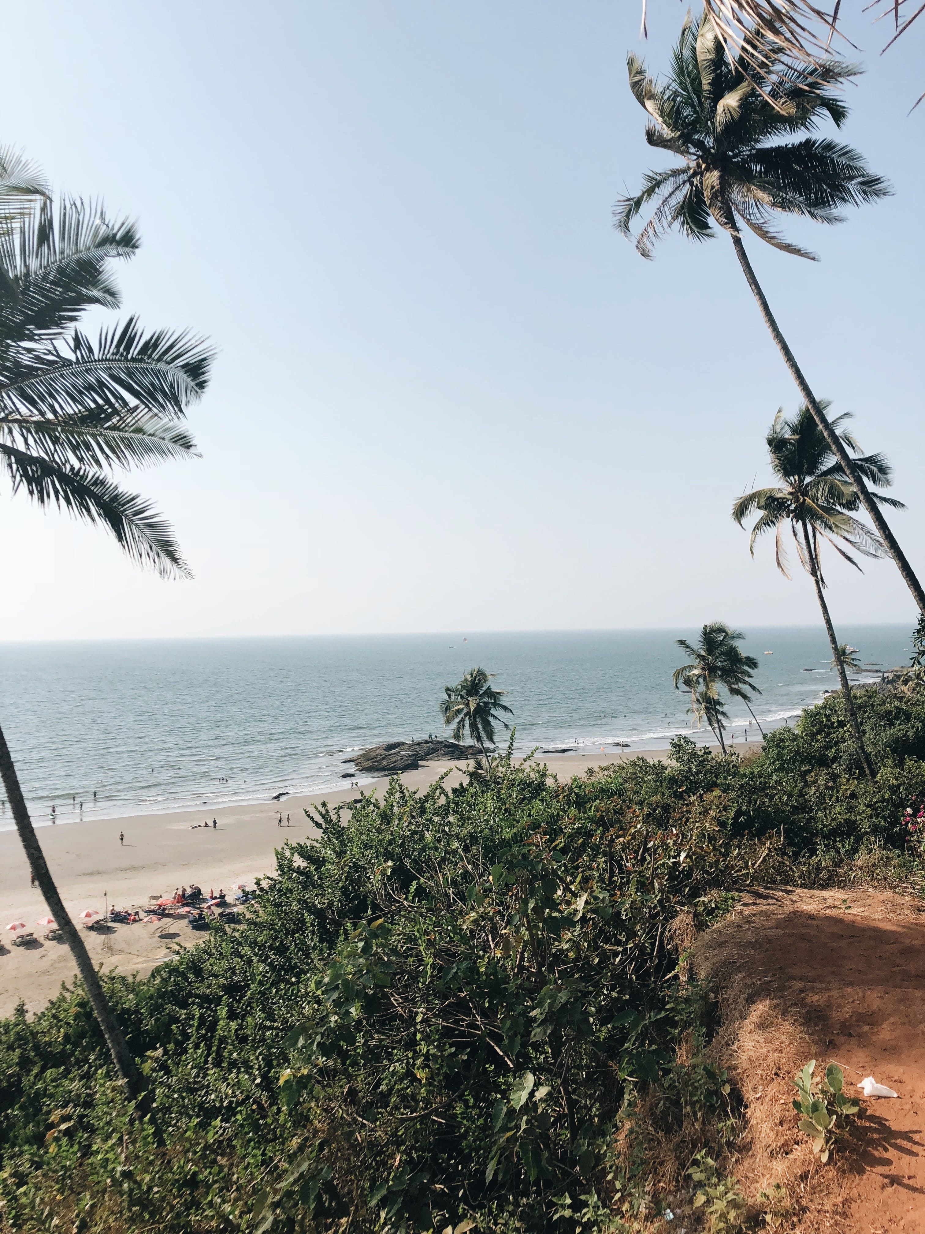 Goa & The Western Coast — Beyond the Beach