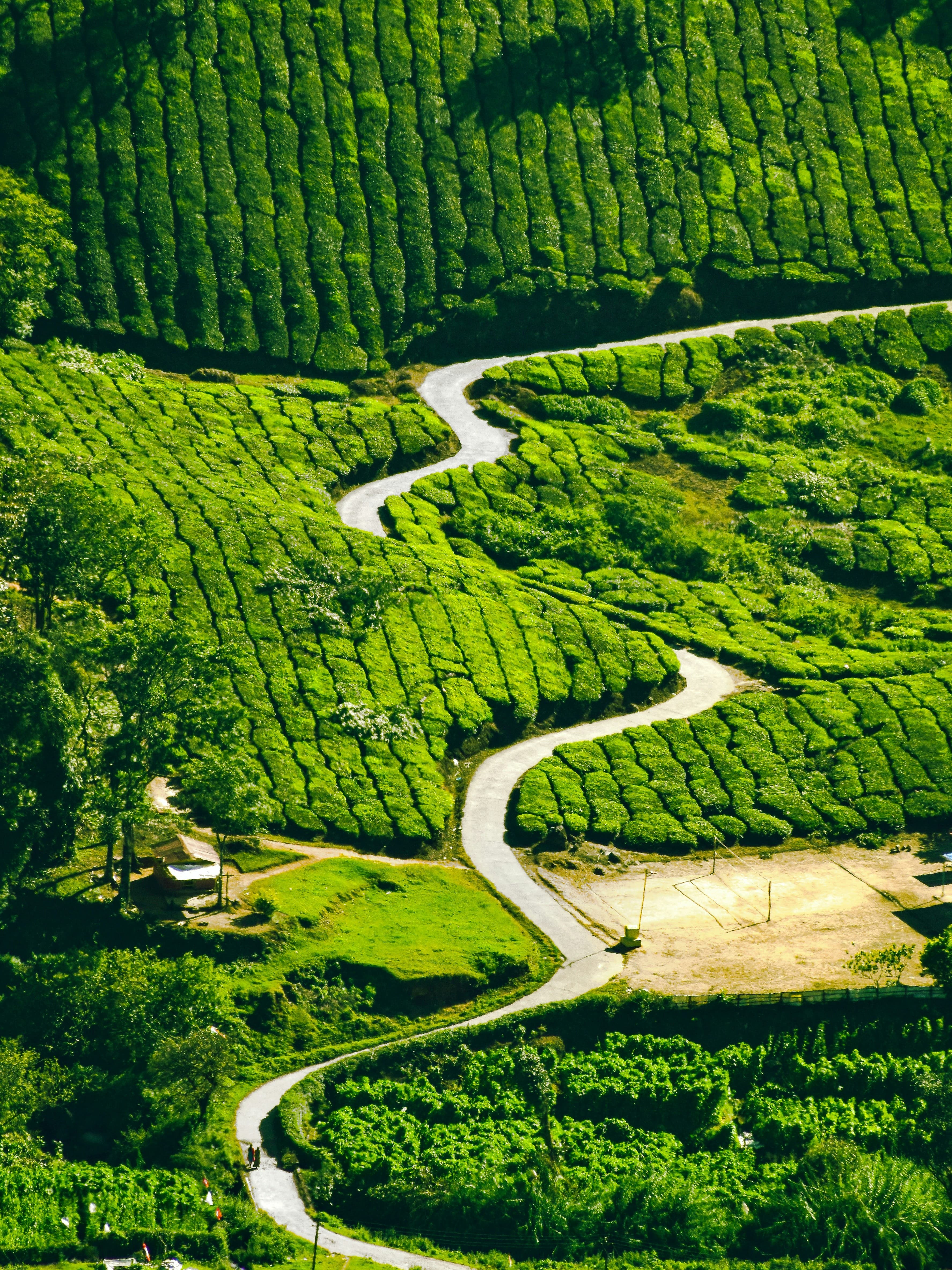 Kerala — Where Life Moves More Slowly