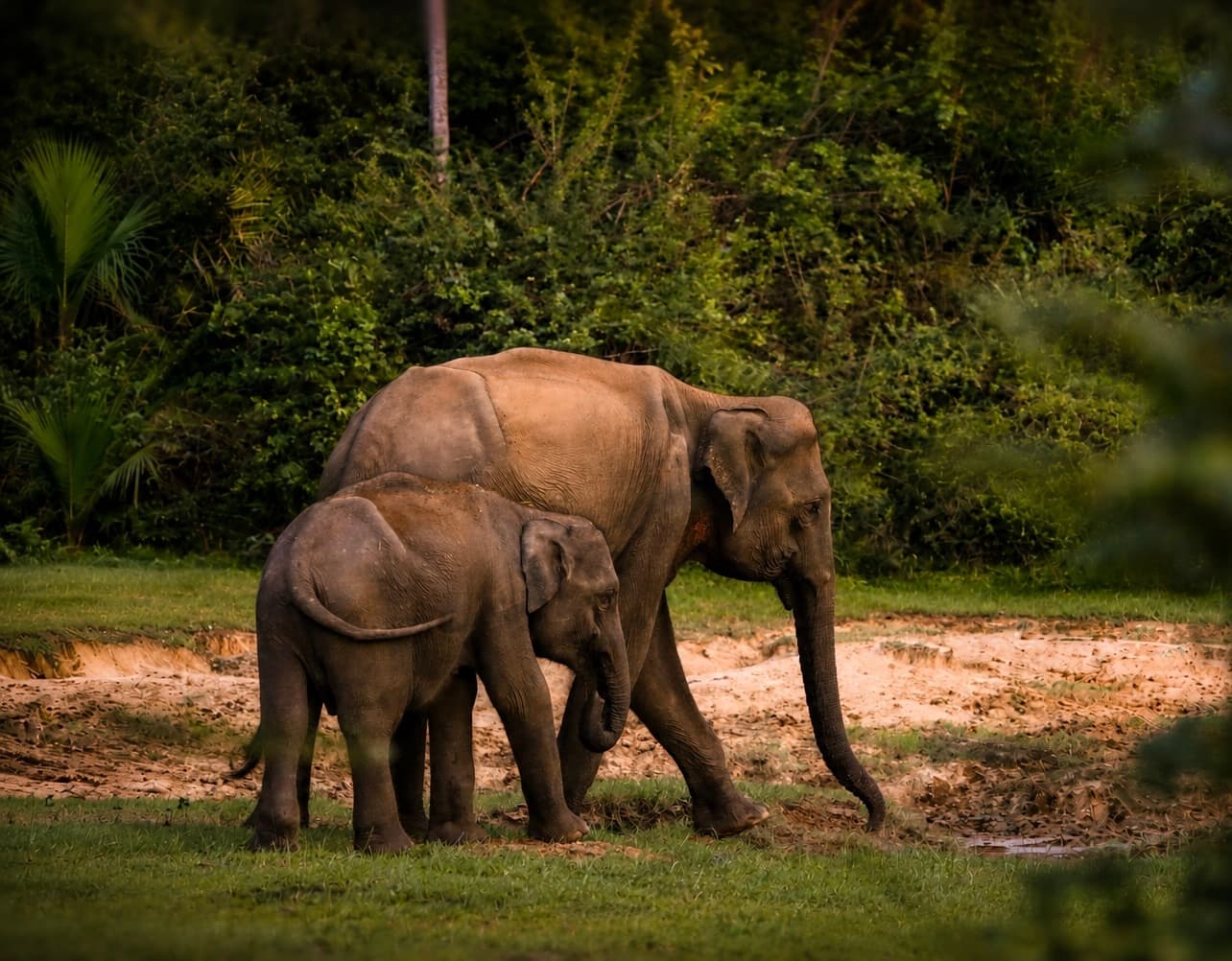 Sri Lanka — An Island of Many Stories