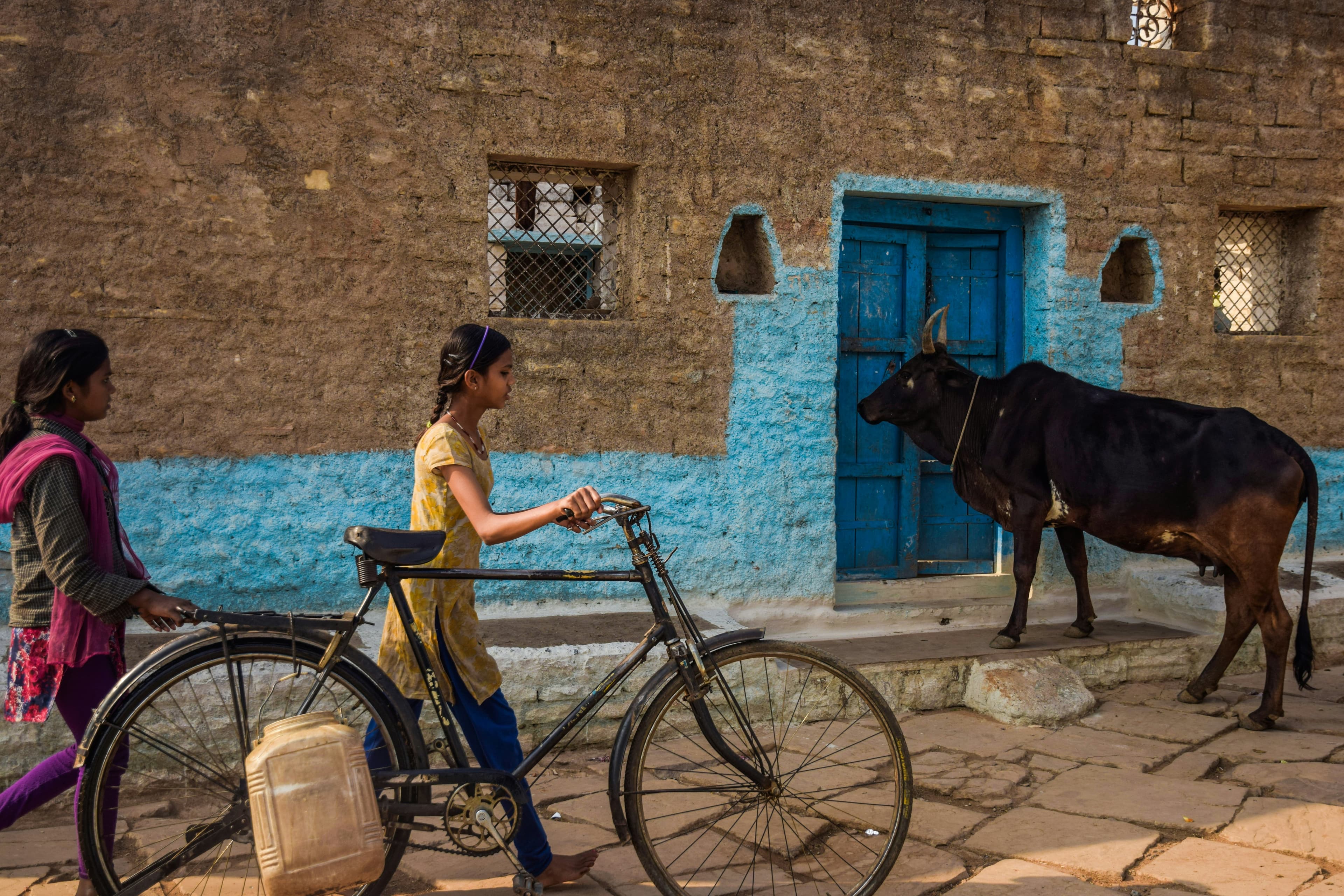 Rural village life in India